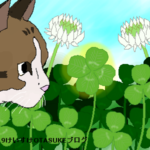 クローバーの花言葉が怖いゾォ！三つ葉、四つ葉も詳しく紹介するよ