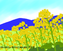 ナノハナのイラスト