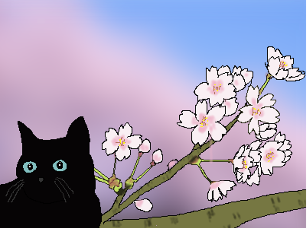 桜の花言葉をいっぱい紹介するよ フランス語では 私を忘れないで