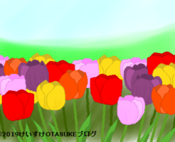 チューリップのイラスト