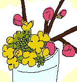 桃とナノハナのイラスト