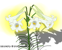 ユリのイラスト