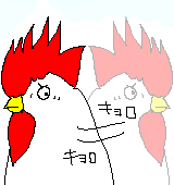 警戒する雄鶏のイラスト