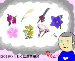 秋の七草タイトルイラスト