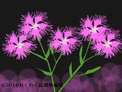 ナデシコ 撫子 の花言葉を詳しく その由来は凛とした花の姿だった