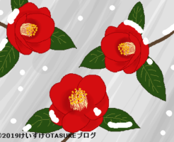 ツバキのイラスト