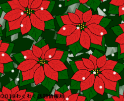 ポインセチアのイラスト