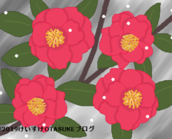 サザンカのイラスト