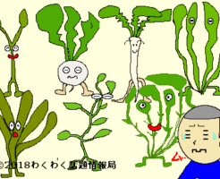 春の七草のイラスト