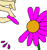 花びらをむしるイラスト