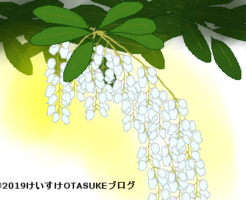 アセビのイラスト