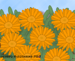 キンセンカのイラスト