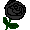 黒いバラのイラスト