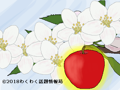 梨の花言葉を詳しく 瑞々しい果実に癒しのメッセージが付いていたよ