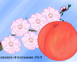 モモのイラスト