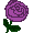 紫のバラのイラスト