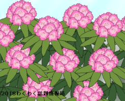 シャクナゲのイラスト