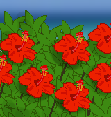 ハイビスカス花言葉の意味とは 赤 黄 白など色別にも詳しく解説