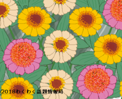 ジニアのイラスト