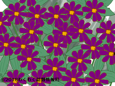 桐の花言葉を詳しく 紫の花色にピッタリなメッセージが付いていた