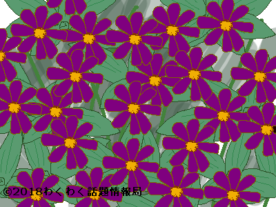 ギボウシの花言葉 花色にマッチした 冷静 という意味が付いていた