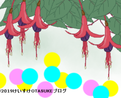フクシアのタイトルイラスト