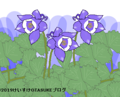 オダマキのイラスト