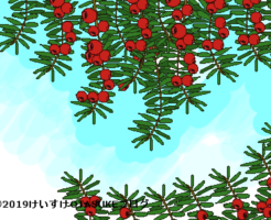 イチイのイラスト