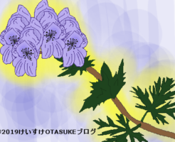 トリカブトのイラスト