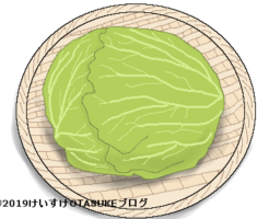 キャベツのイラスト