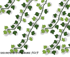 アイビーのイラスト