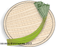 フキのイラスト