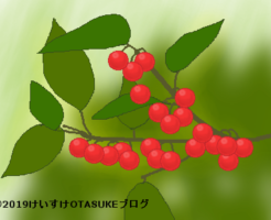 ウメモドキ果実のイラスト