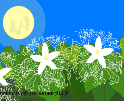 カラスウリのイラスト