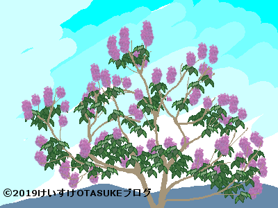 桐の花言葉を詳しく 紫の花色にピッタリなメッセージが付いていた