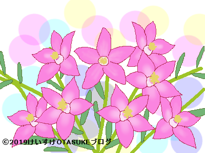 1月の誕生花と花言葉 新春が似合う花のメッセージを紹介するよッ