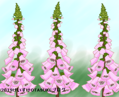 ジギタリスのイラスト