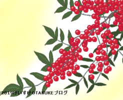 ナンテンのイラスト