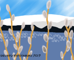 ネコヤナギのイラスト