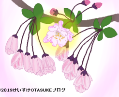 ハナカイドウのイラスト