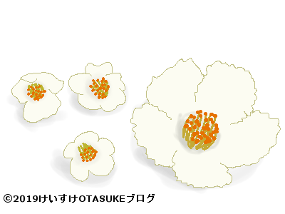 ヒメシャラとシャラノキの花のイラスト