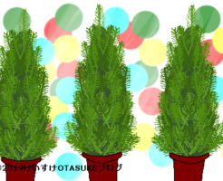 ゴールドクレストのイラスト