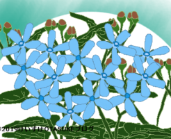 ブルースターのイラスト