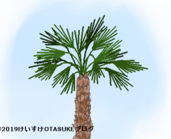 シュロのイラスト