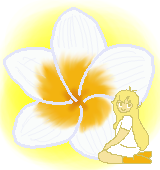 プルメリアの花言葉 ハワイを代表する花の素敵なメッセージとは
