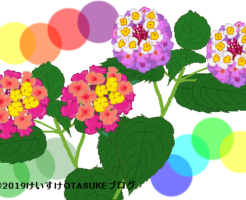 ランタナのイラスト
