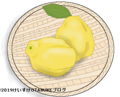 マルメロのイラスト