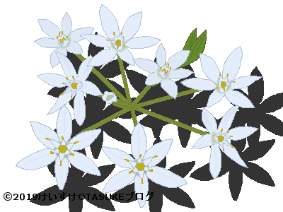 春に咲く花の花言葉 123種類の花をずらり紹介します