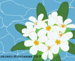 プルメリアのイラスト