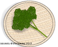 パセリのイラスト
